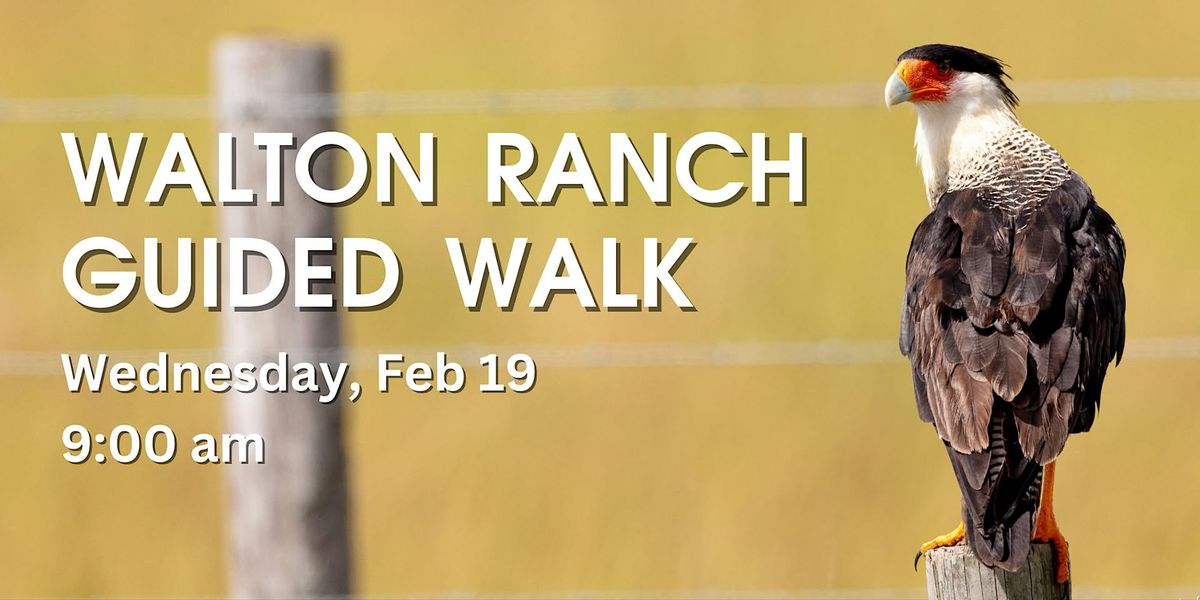 Walton Ranch Preserve Guided Walk