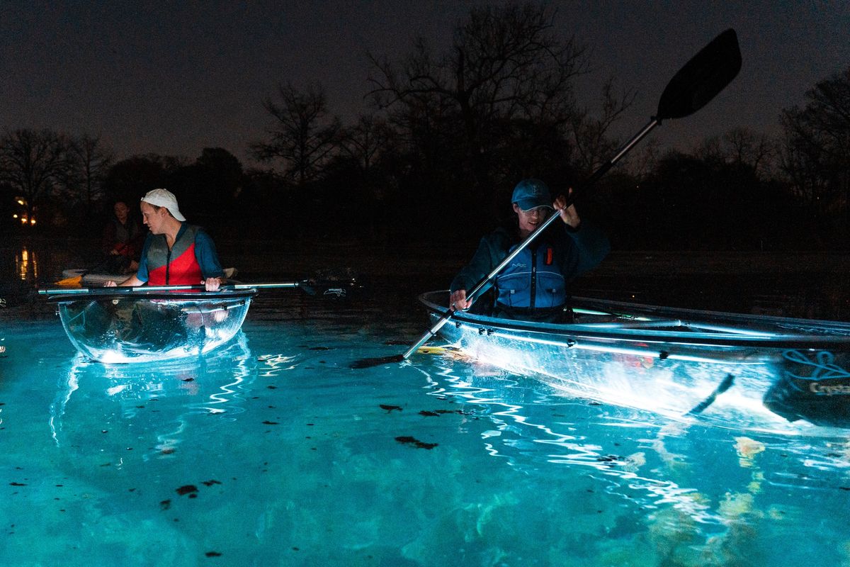 Guided Light-Up Kayak Tours