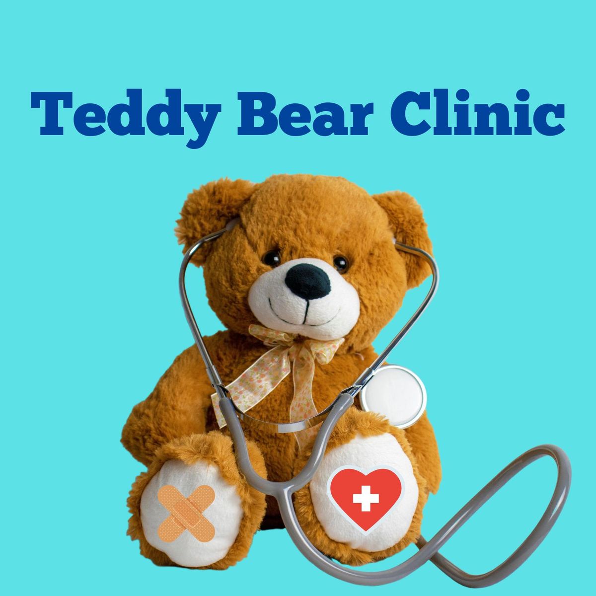 Teddy Bear Clinic | Cl\u00ednicas de Osos de Peluche