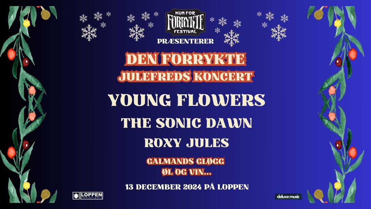 Den Forrykte Julefreds Koncert 2024 \/\/ Loppen