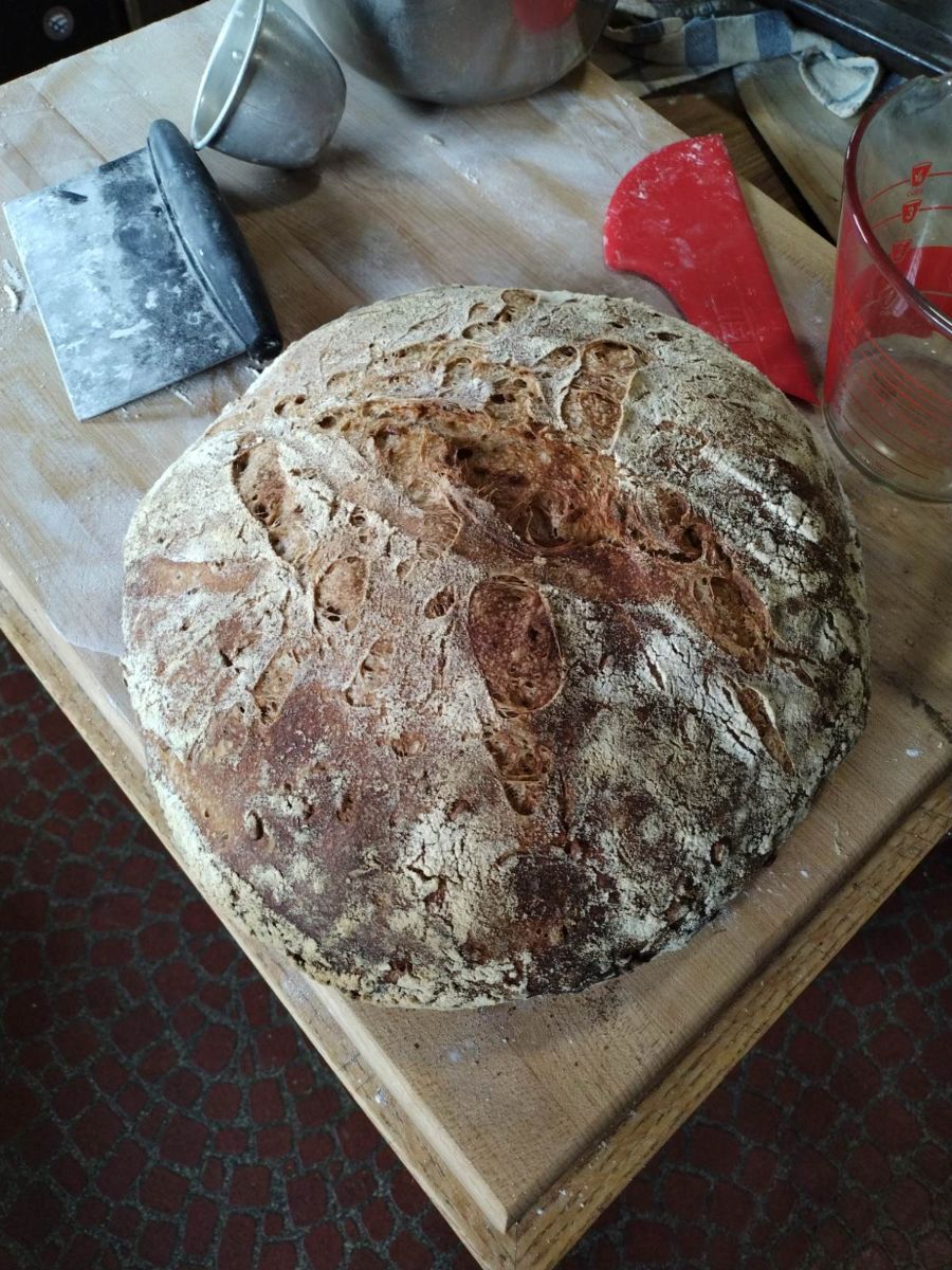 Sourdough Breads and More: Artisan Techniques for the Home