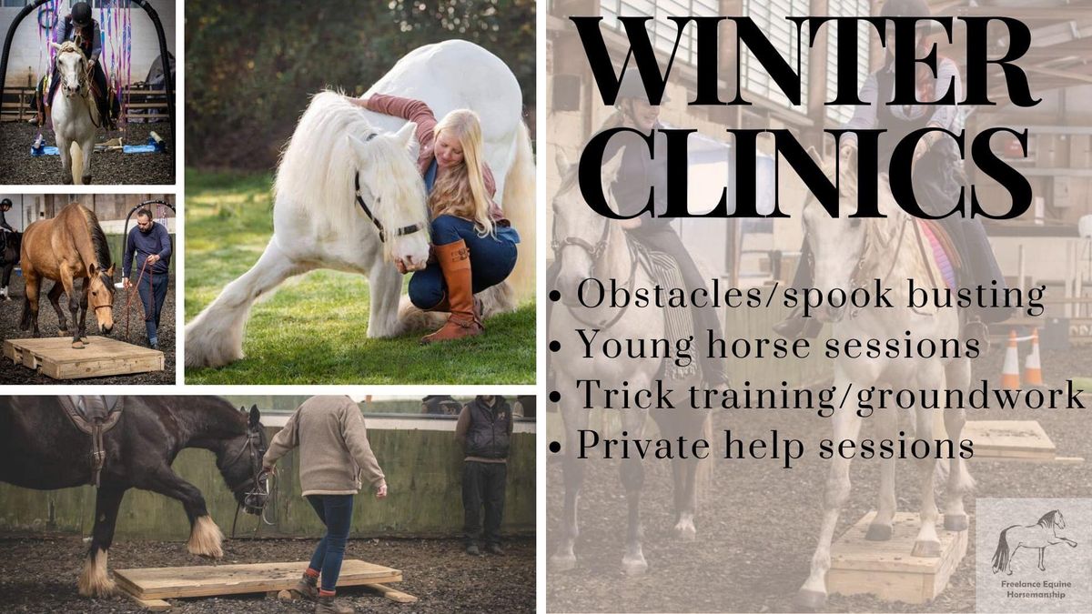 Freelance equine Obstacles, Young Horse and Groundwork\/Trick Training 