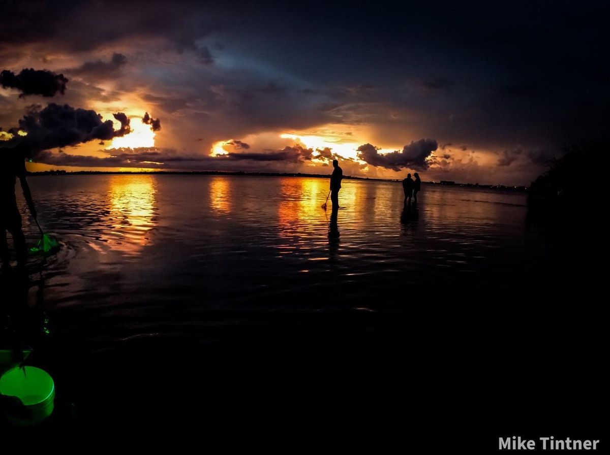 Nighttime Seagrass Wading Trip