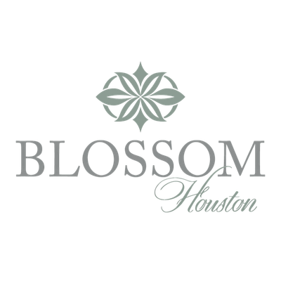 Blossom Hotel Houston