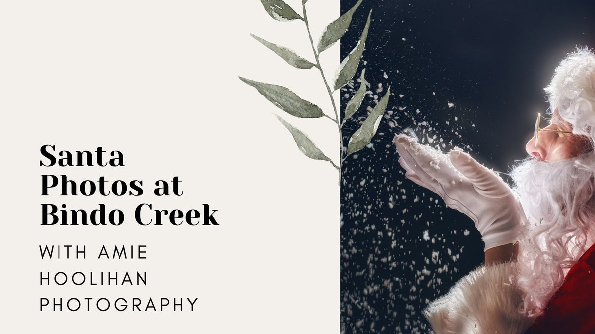 Santa Photos at Bindo Creek with Amie Hoolihan Photography