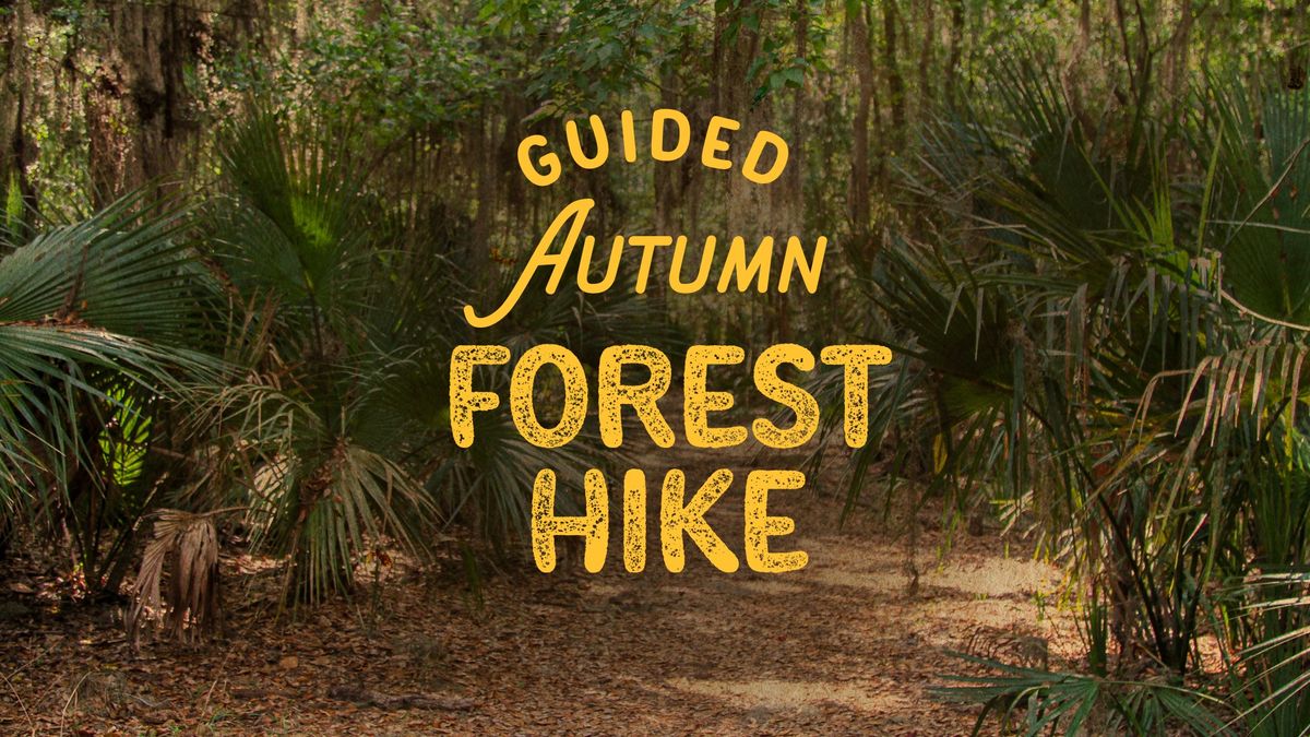 Guided Autumn Forest Hike 