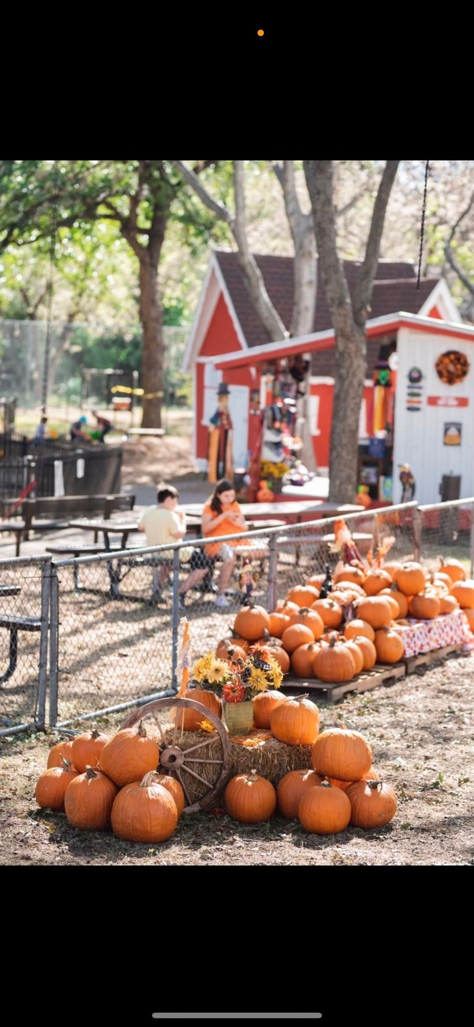 Fritz Park Petting Farm Pumpkin Patch