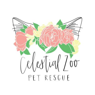 Celestial Zoo Pet Rescue