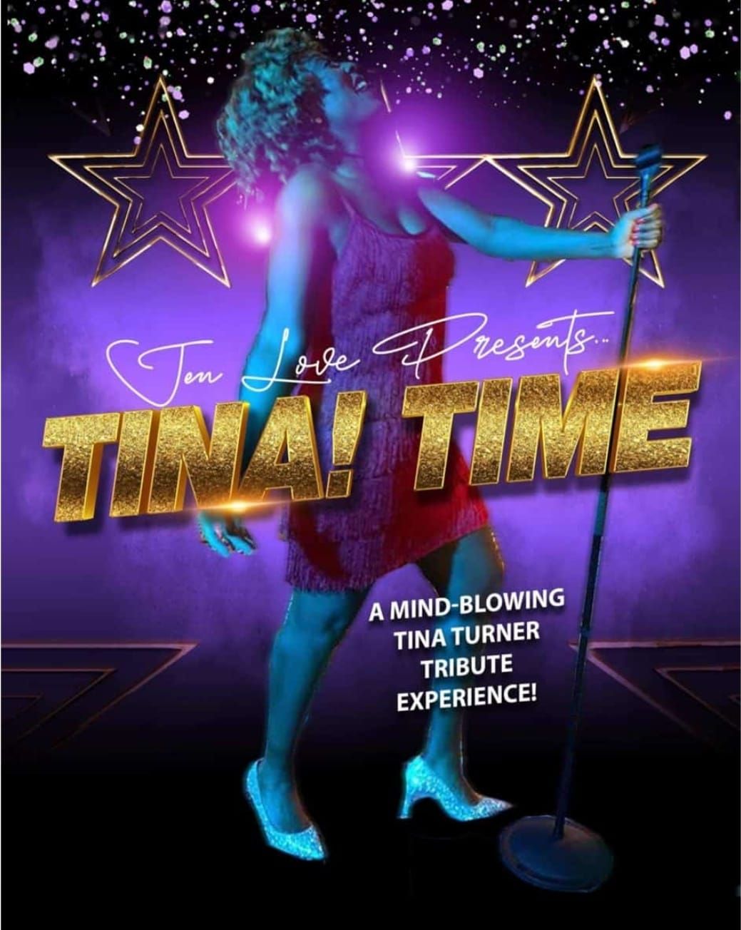 Uk #1 Tina Turner Tribute & Mo Town Hits