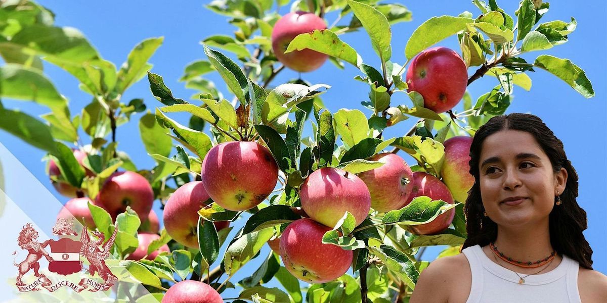 A Fruity Walk Around the Secret Orchards of Bermondsey and Southwark Park