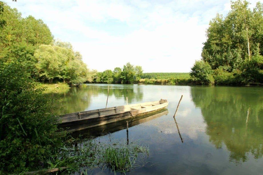 WEMPS #3 St Sauveur (Indre)