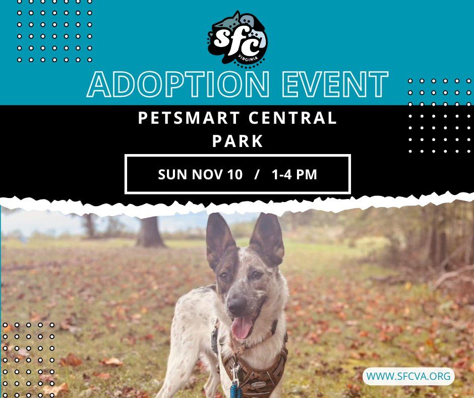 11\/10 Adoption Event at Petsmart Central Park