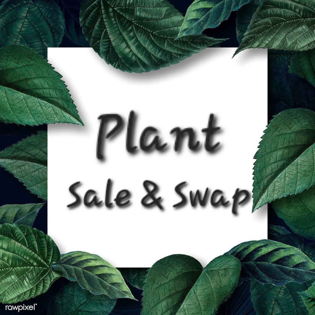 Grand Junction Plant Sale & Swap 3\/15