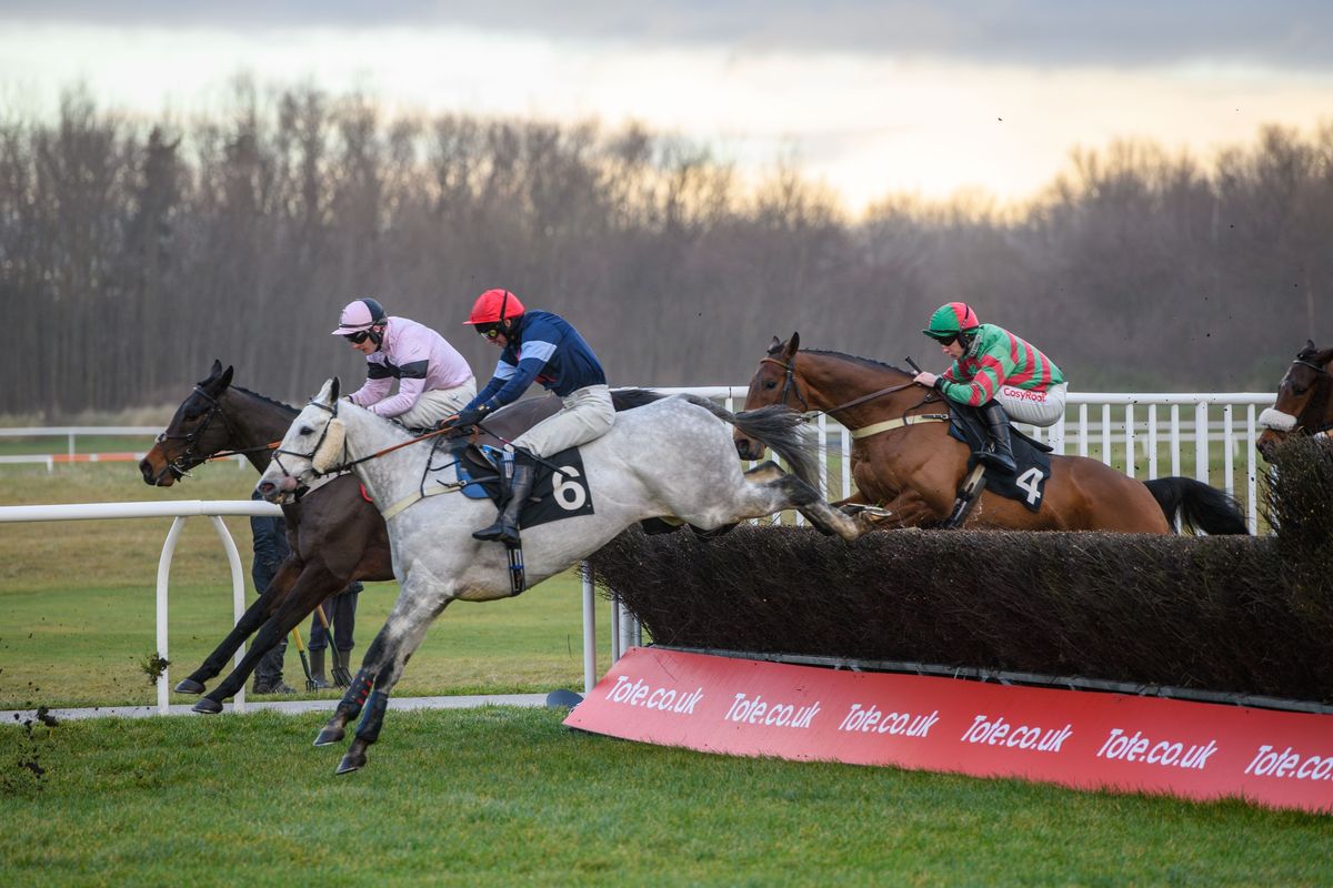 The Festive Jumps Raceday