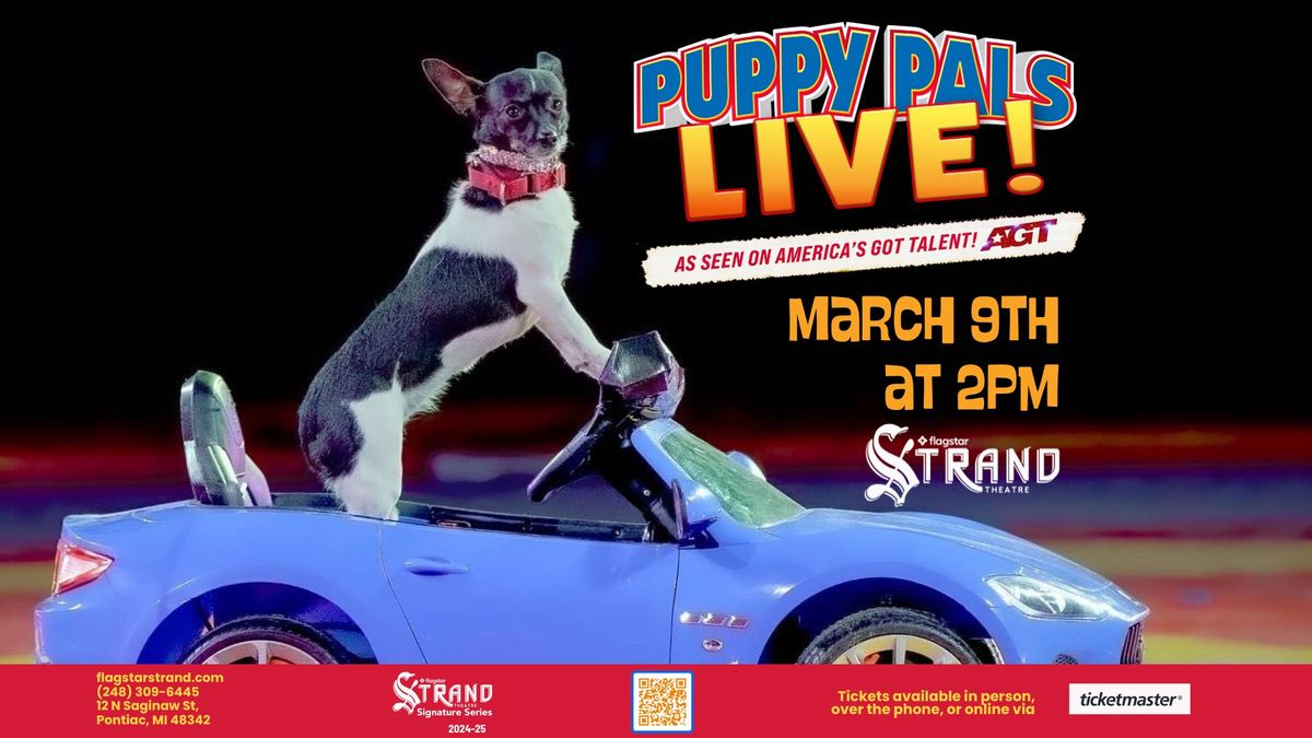 Puppy Pals Live! | Pontiac, MI