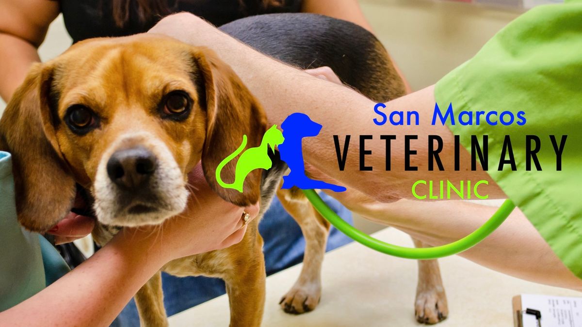 Vaccine Clinic at San Marcos Veterinary Clinic 