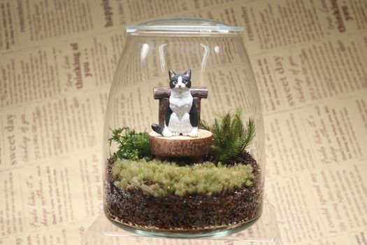 4月25日14 00 苔テラリウム 初級ワークショップ Pin東京都港区新橋5丁目25 3 第2一松ビル4階 株 コンサイド Shinjuku 25 April 21 4月25日14 00 苔テラリウム 初級ワークショップ Pin東京都港区新橋5丁目25 3 第2一松ビル4階 株 コンサイド Shinjuku 25 April 21