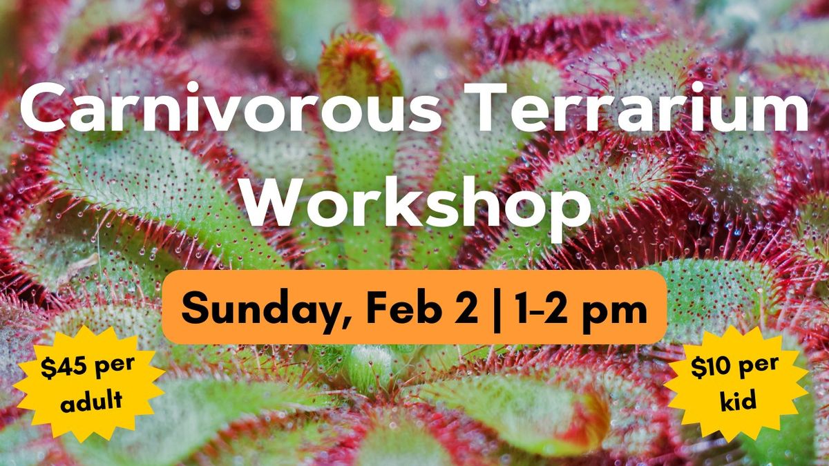 Carnivorous Terrarium Workshop