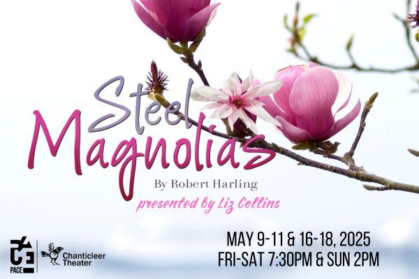 Chantilceer Theater | Steel Magnolias Auditions