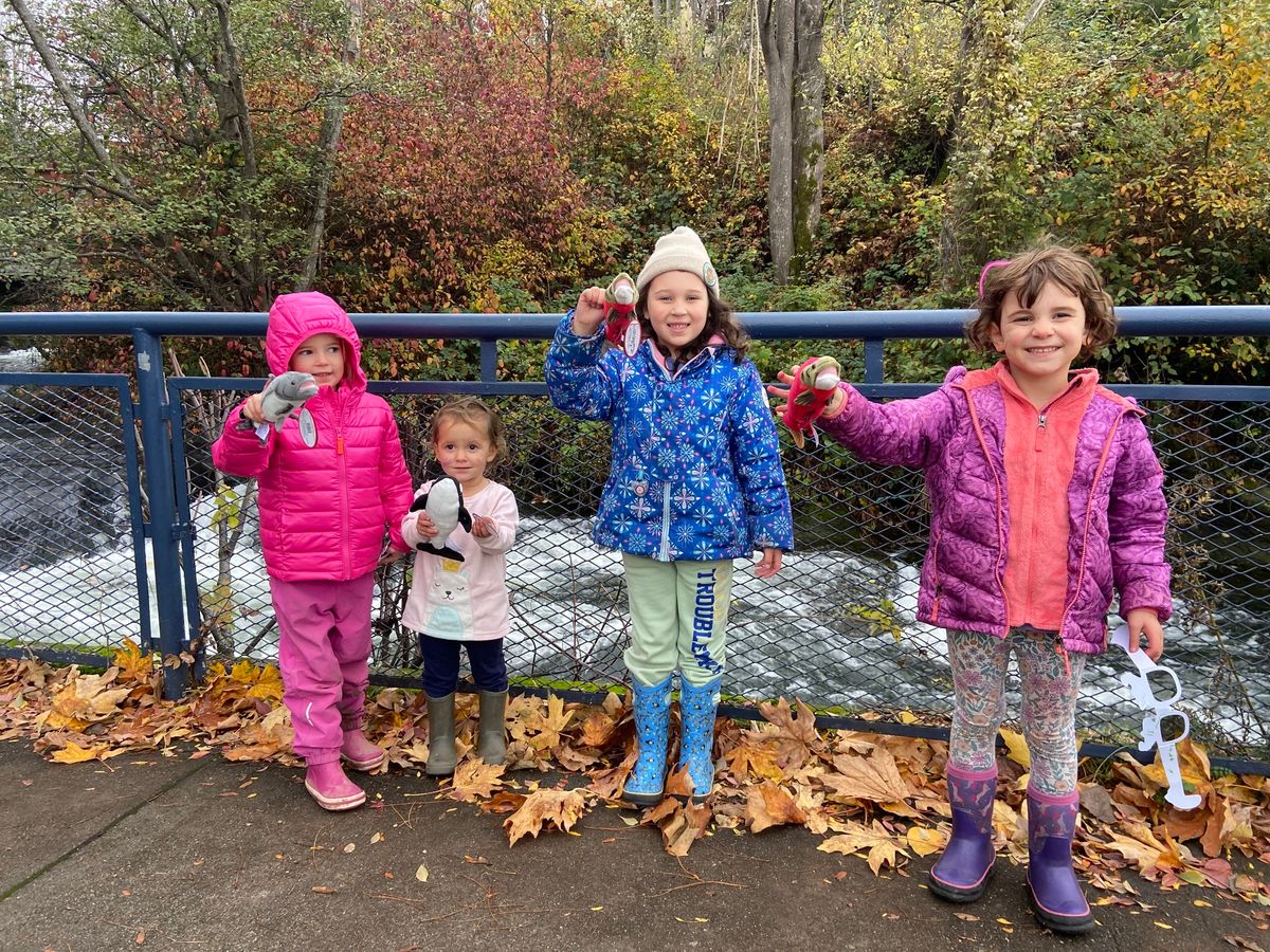 NSEA Salmon Sighting at Whatcom Creek