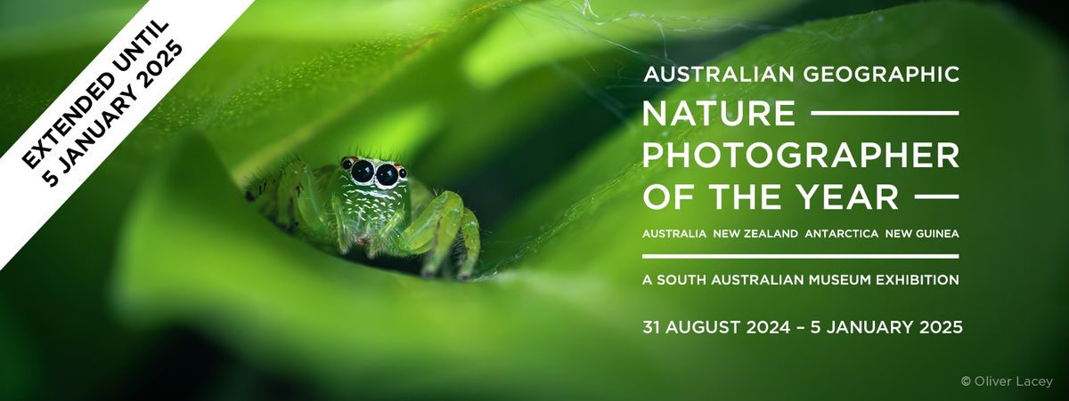 Australian Geographic Nature Photographer of the Year Exhibition 2024