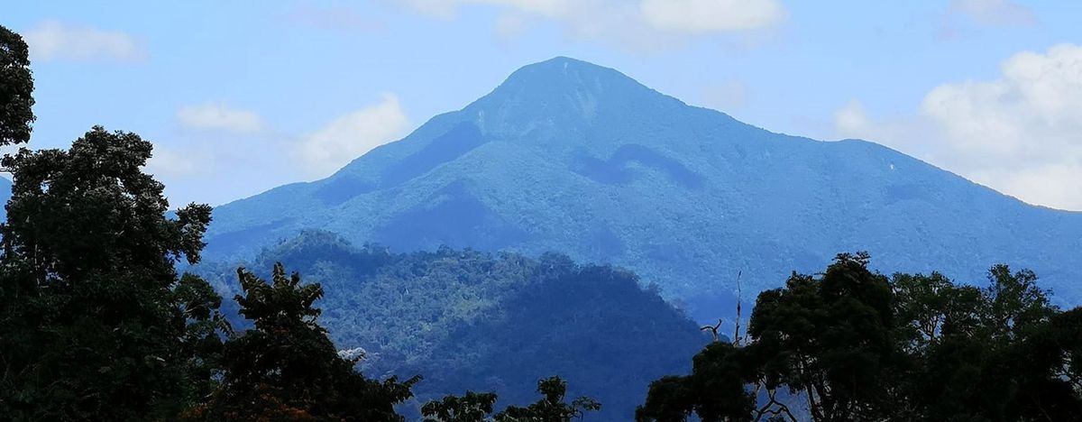 Gunung Yong Yap via Kuala Mu 2D1N