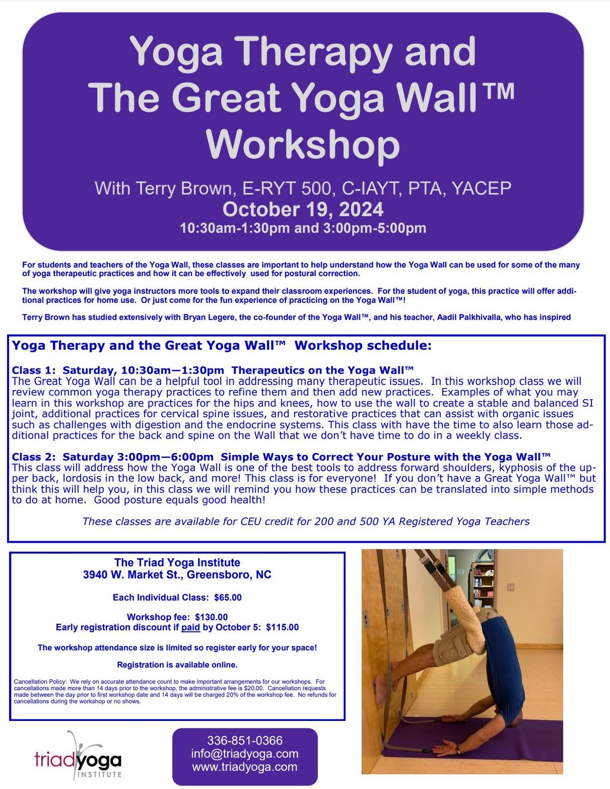 Yoga Therapy and The Great Yoga Wall\u2122 Workshop