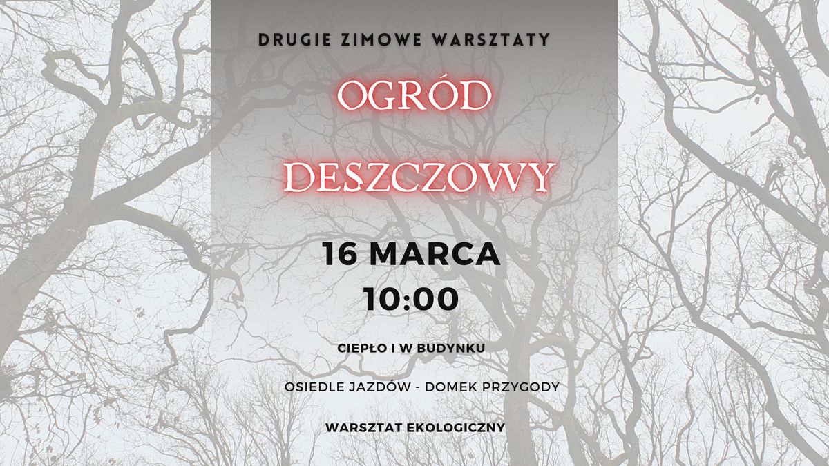 7. spotkanie z cyklu dost\u0119pno\u015bci - drugie zimowe warsztaty - ogr\u00f3d deszczowy