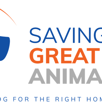 Saving Great Animals