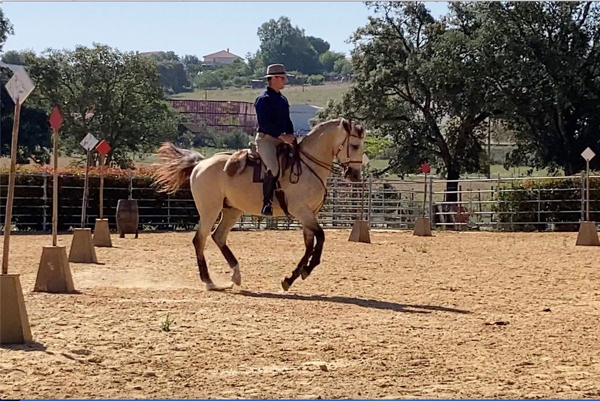 Working Equitation Naturally Week - fully booked but waiting list open