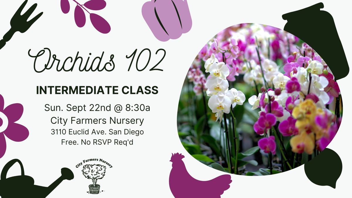 Orchids 102: Intermediate Class | Repotting and Care