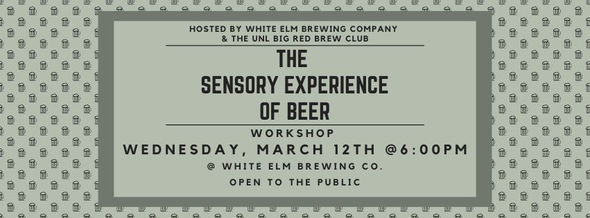 The Sensory Experience of Beer Workshop