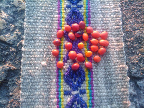 Rainbow Seeds: a practice for unconditional love
