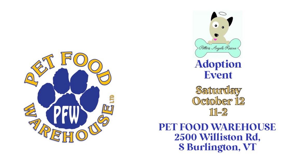 Dog Adoption Event