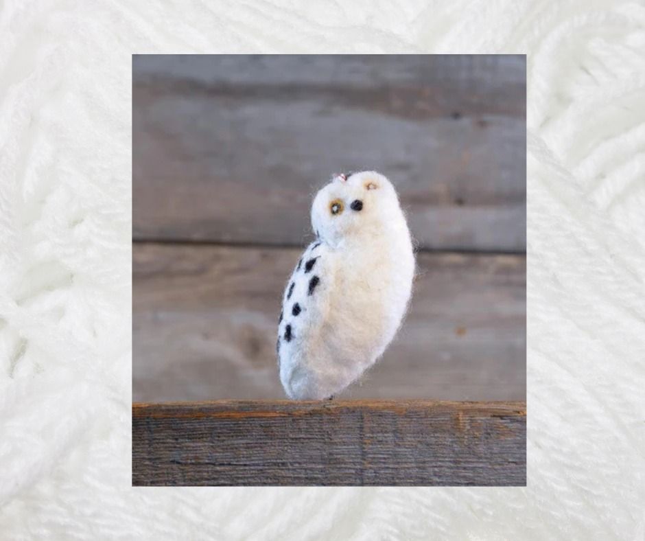 Snowy Owl Needle Felting Class