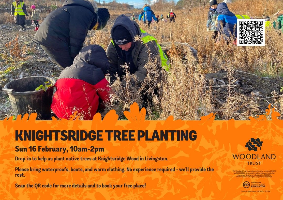 Knightsridge Community Planting Day