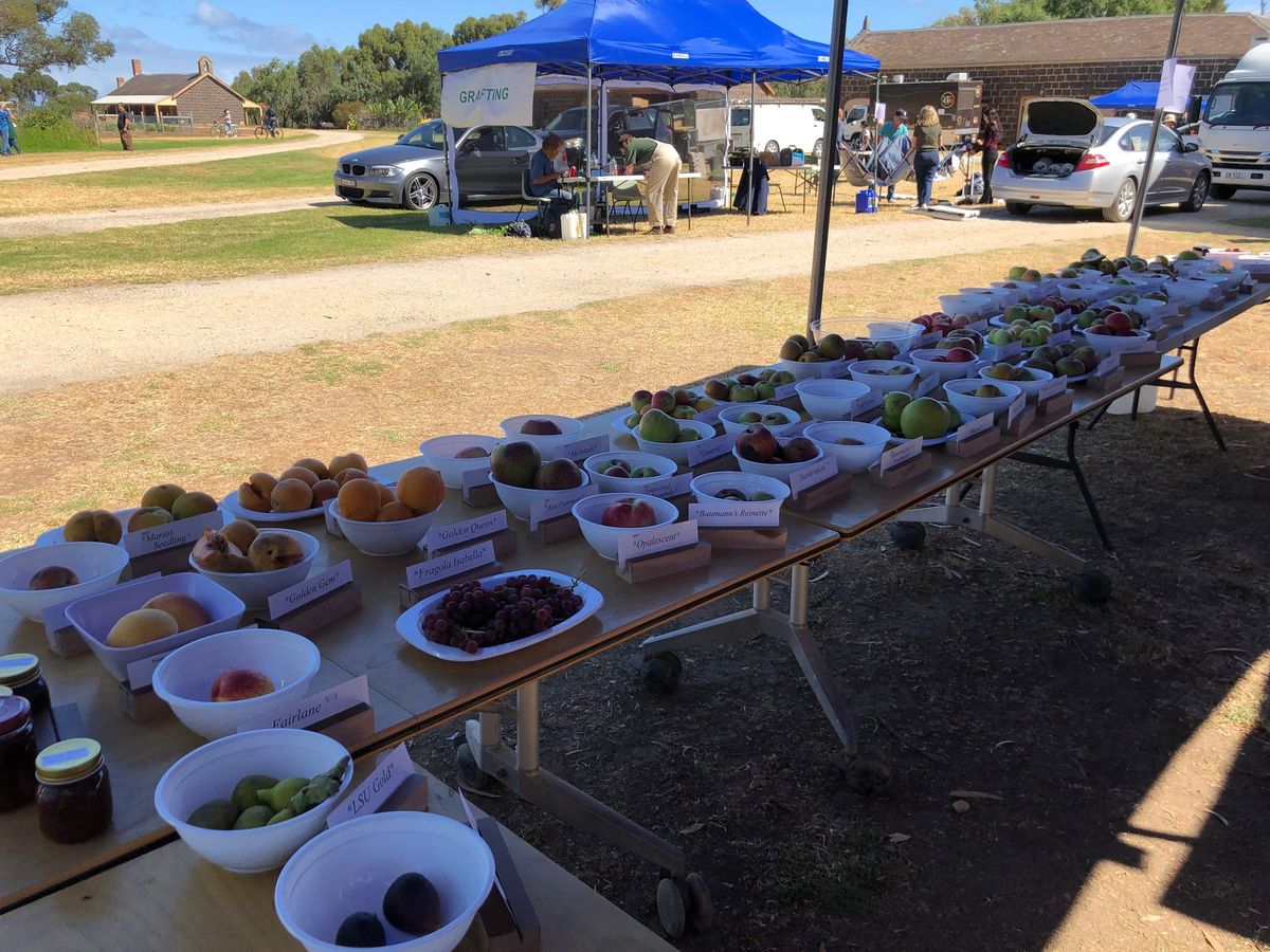 Summer Heritage Fruit Tree Festival