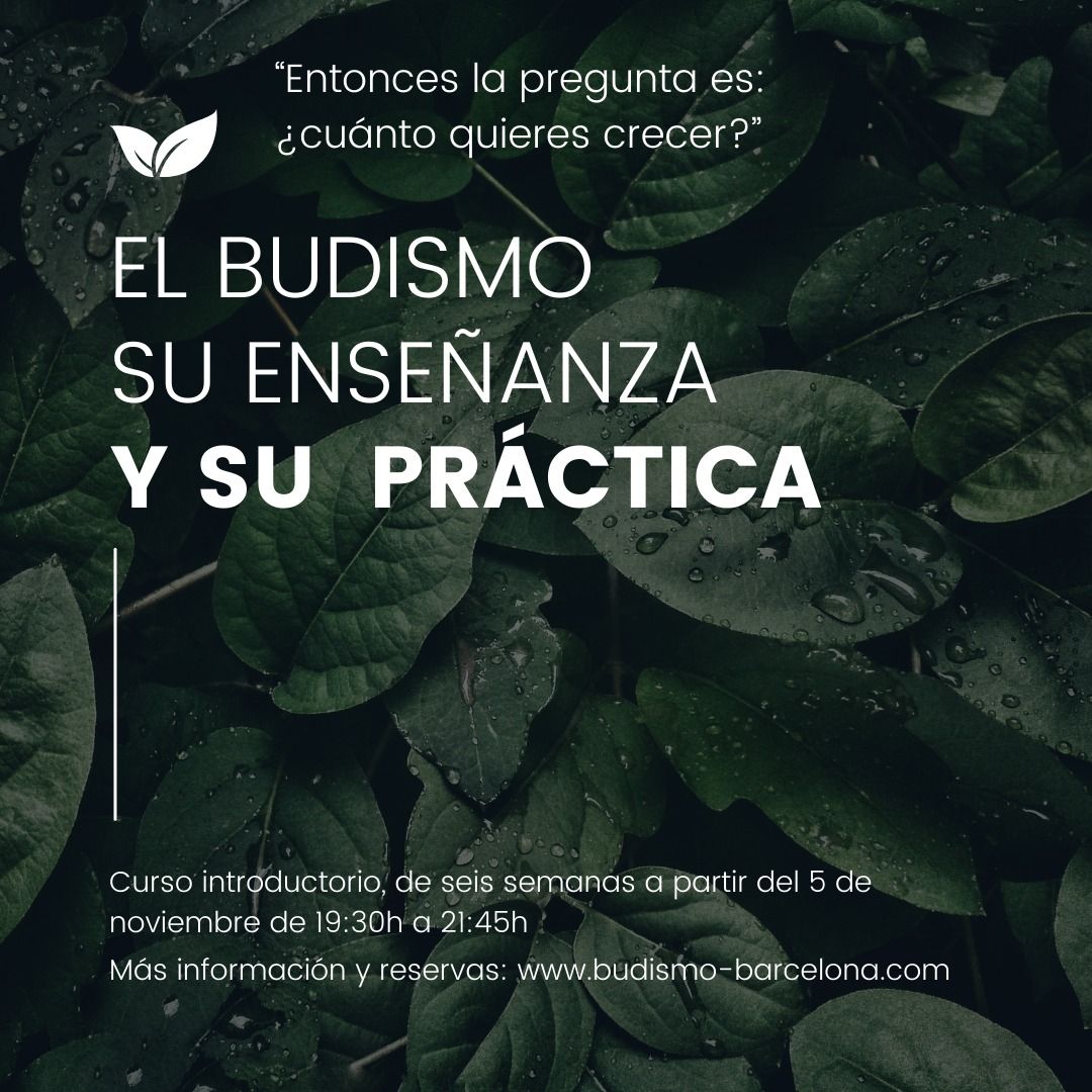 CURSO INTRODUCTORIO - El BUDISMO, SU ENSE\u00d1ANZA Y SU PR\u00c1CTICA