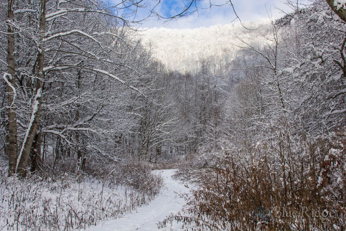 Discover Durham's Trails (February)- West Foss Farm