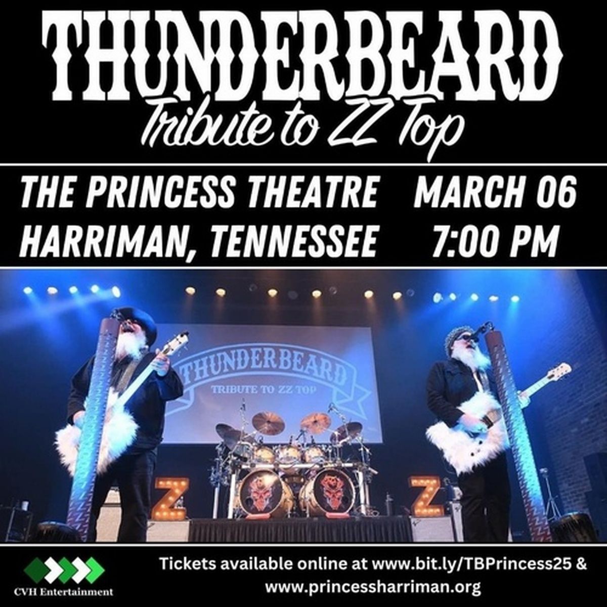 ThunderBeard - Tribute to ZZ Top