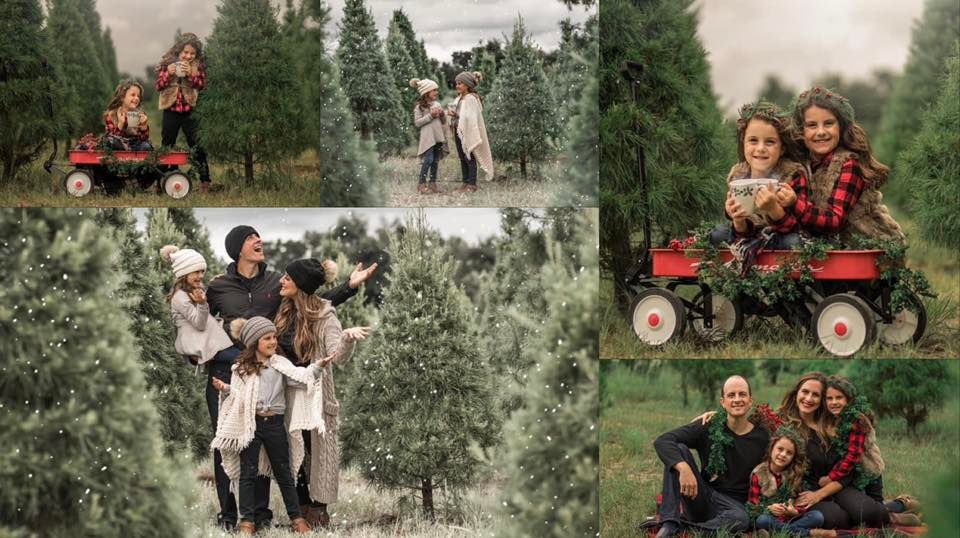 Christmas Tree Farm Photoshoots | Spring Hill, FL