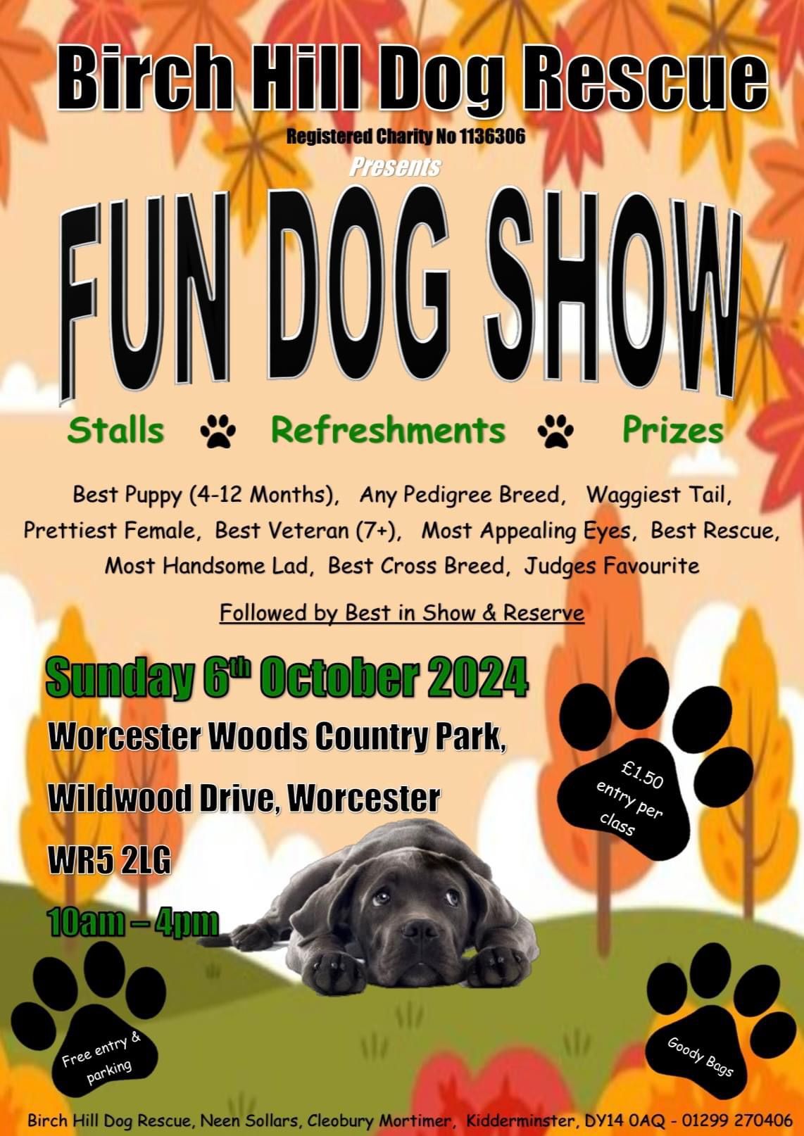 Fun Dog Show \ud83d\udc36