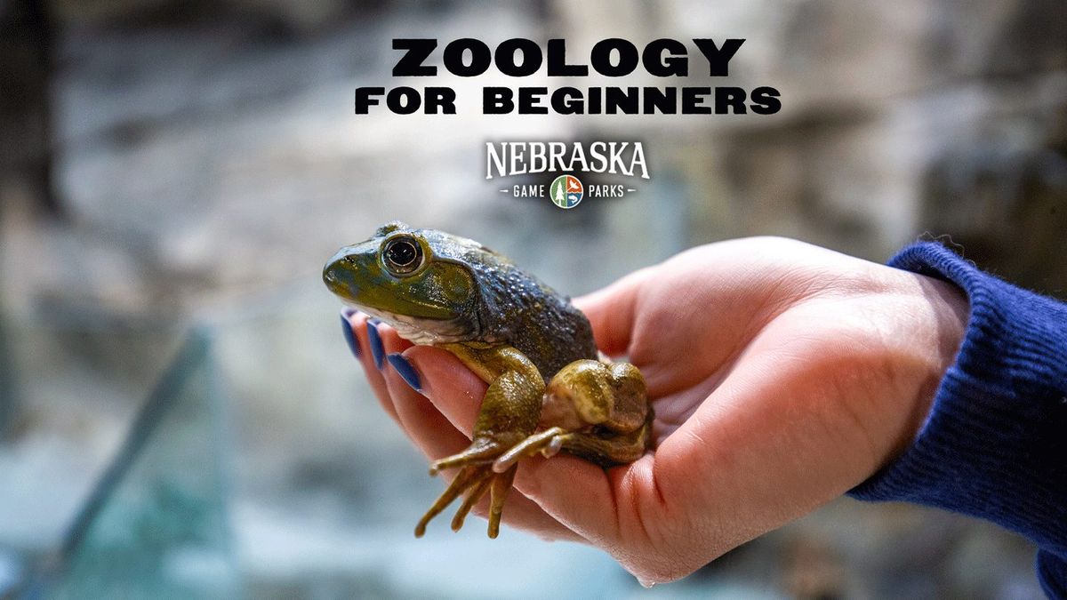 Zoology for Beginners at Mahoney State Park