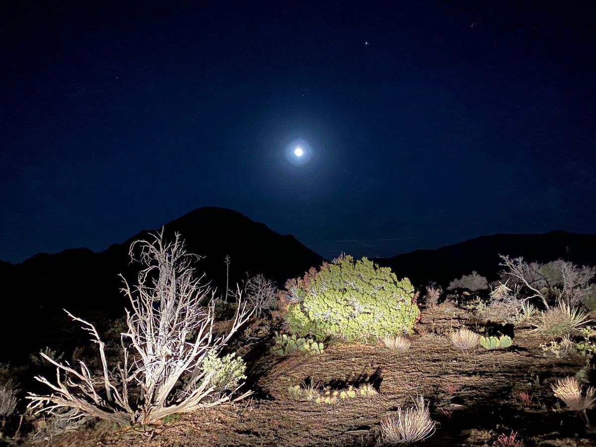 Star Party in the Mountains