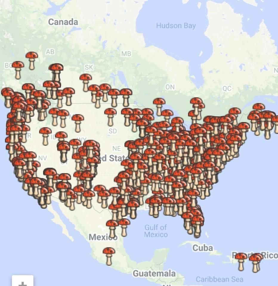 Game of shrooms 2022 QUEBEC, Quebec, Quebec, 11 June 2022