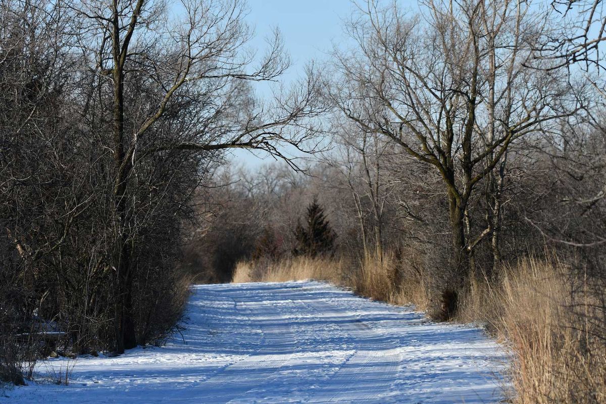 Take It Outside Hike: Winter Walk