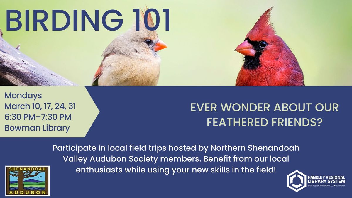 Birding 101