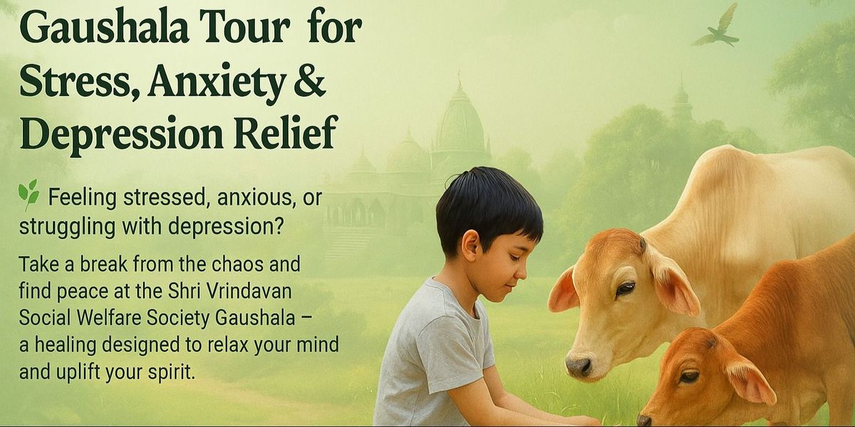 Gaushala Tour for Mental Wellness