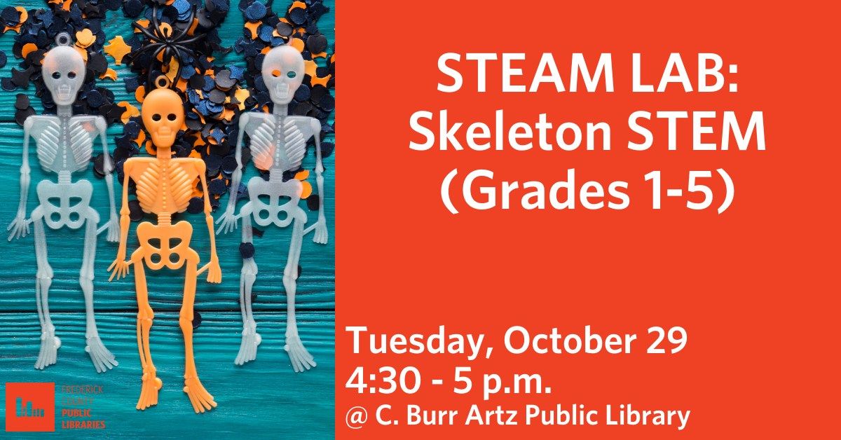 STEAM Lab: Skeleton STEM (Grades 1-5)