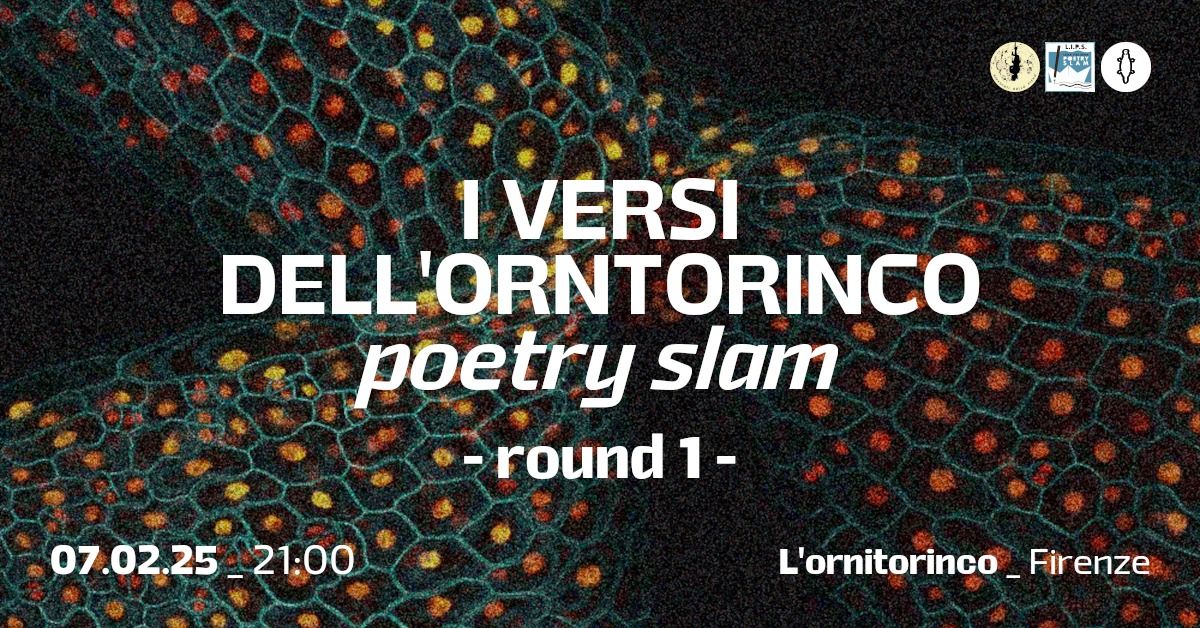 I versi dell'ornitorinco poetry slam #1